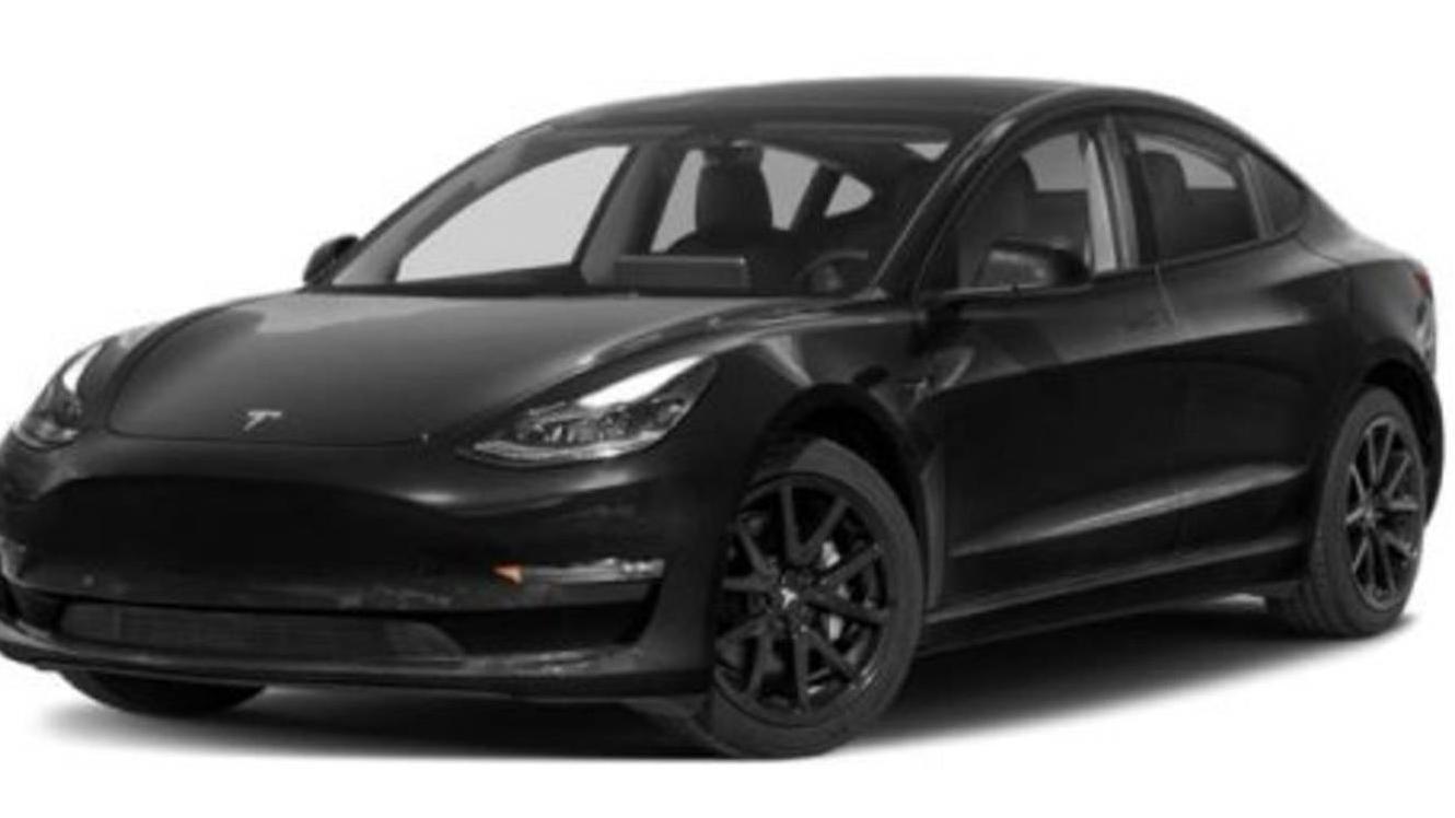 TESLA MODEL 3 2023 5YJ3E1EA1PF559672 image